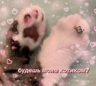 💍