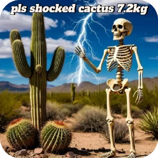 🖼