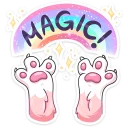 🌈