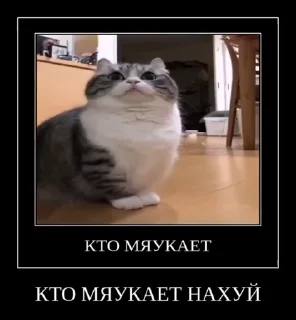 😡