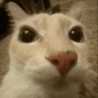 😉
