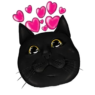 🐈‍⬛