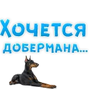 🐶
