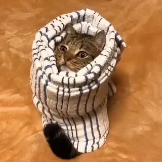😑