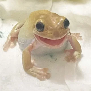 🙂