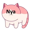🐱