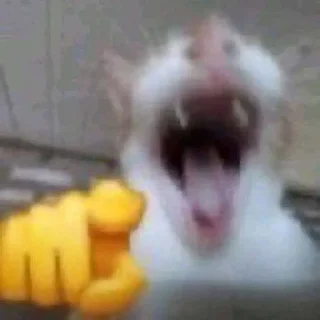 😅