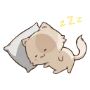😴