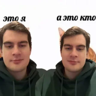 😎