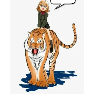 🐅