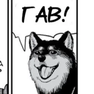 🐶