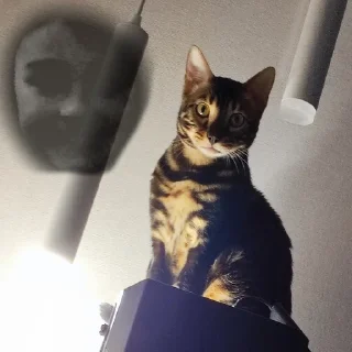 ☠