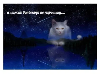 😥