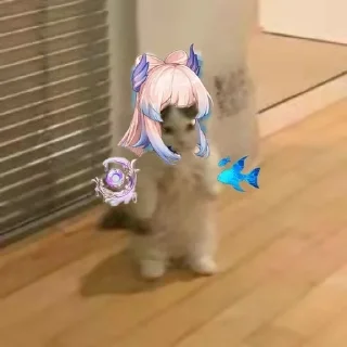 🐟