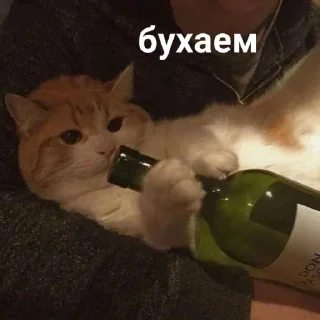 🍾