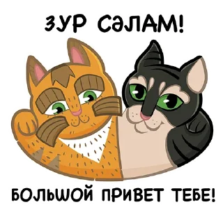 Коты казанские Ал-барыс и Мырау-бай от @milliardtatar.