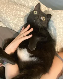 😐
