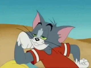 😼