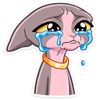 😭