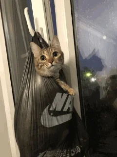 👜