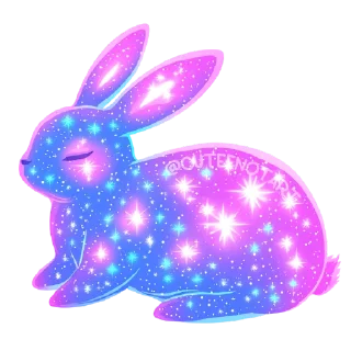 🐰
