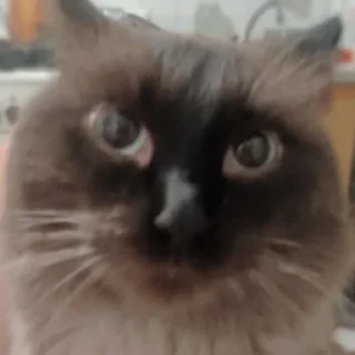 😳