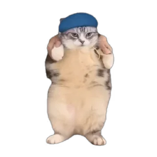 💃