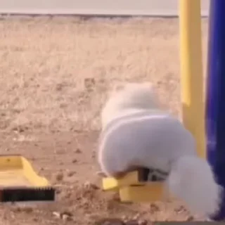 🤫