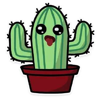 Cactus