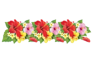 🌺