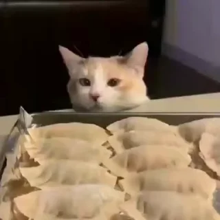 🧶