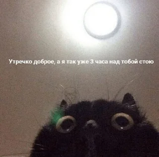 👀
