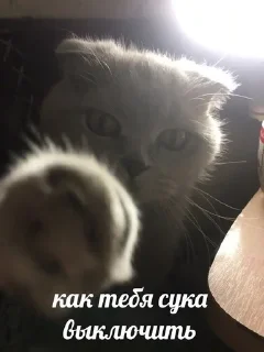 😡