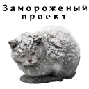 ❄️