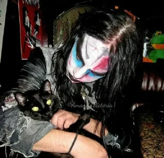🐱