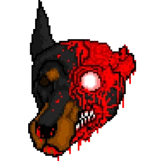 🐶
