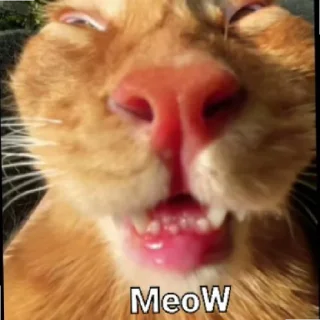 😄