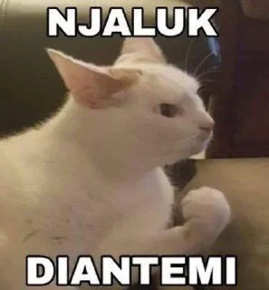 👎