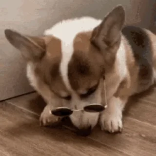 😎
