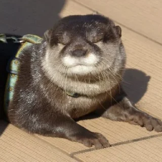 ☺️