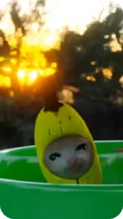 🥰
