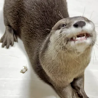 😁