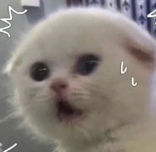 😰