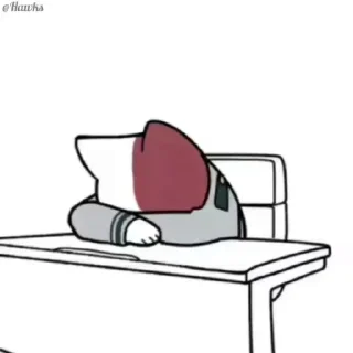 🐱