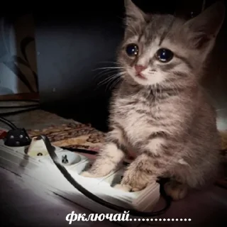 😭