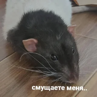 ☺️