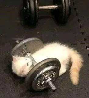 💪