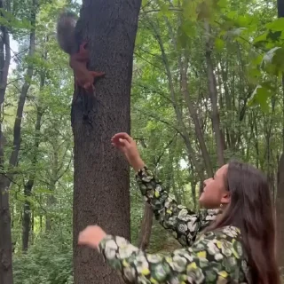 🐿