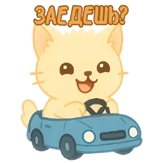 🚘