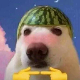 👉